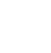 Webinar: Gestión de flotas ligeras